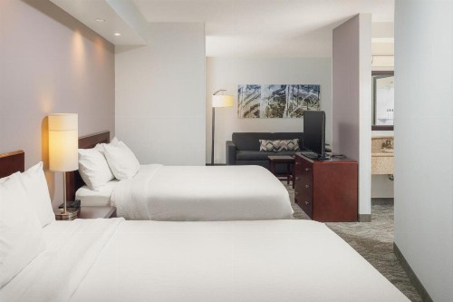 SpringHill Suites Knoxville At Turkey Creek - image 44
