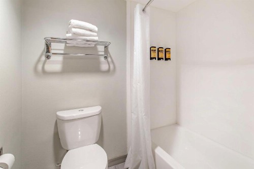 Best Western Plus Knoxville Cedar Bluff - image 28