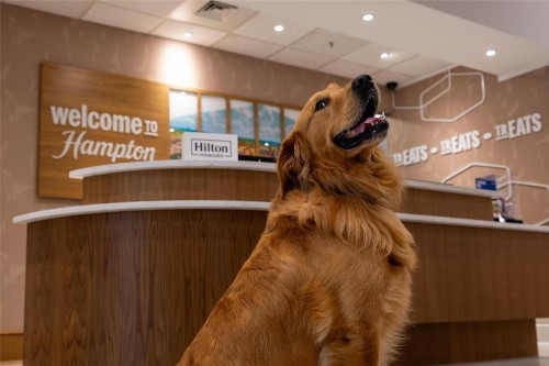 Hampton Inn & Suites Knoxville-Turkey Creek - image 9