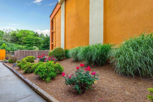 Days Inn by Wyndham Knoxville East - image 8