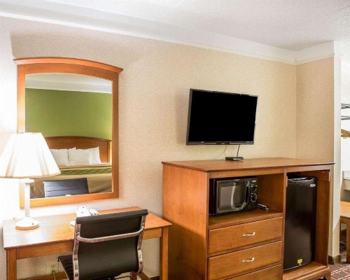 Econo Lodge North Knoxville - image 4
