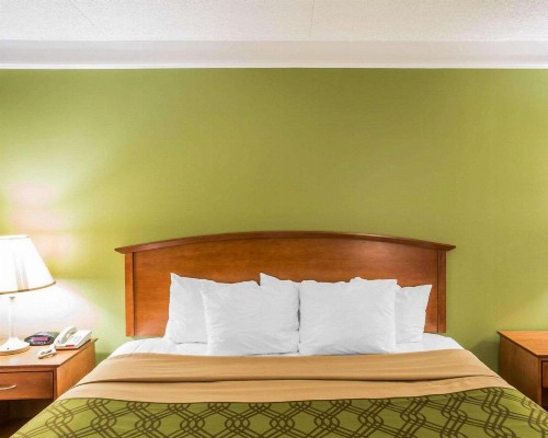 Econo Lodge North Knoxville - image 6
