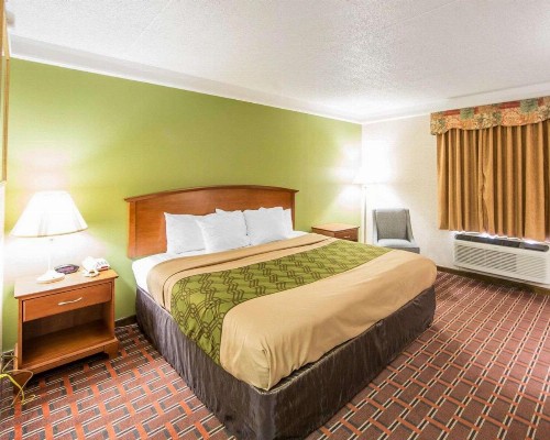 Econo Lodge North Knoxville - image 8