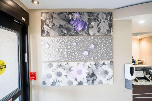 Clarion Inn & Suites West Knoxville - image 20