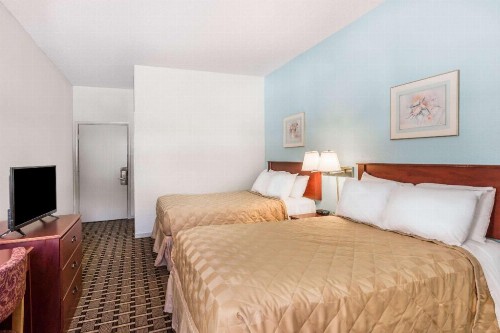 Super 8 by Wyndham Knoxville Downtown Area - image 29