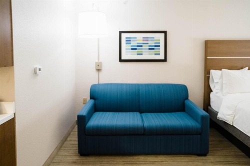Holiday Inn Express Hotel & Suites Knoxville-Farragut an IHG Hotel - image 17