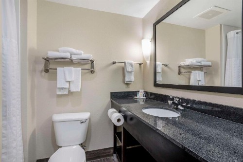 Comfort Suites East Knoxville - image 12