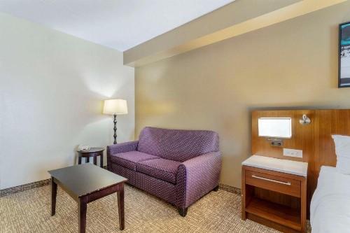 Comfort Suites East Knoxville - image 13