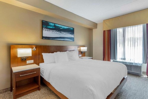 Comfort Suites East Knoxville - image 18
