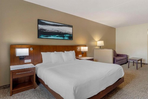 Comfort Suites East Knoxville - image 27