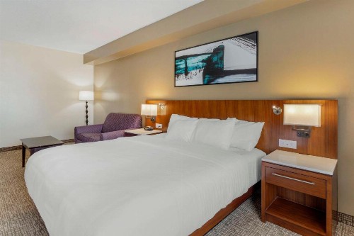Comfort Suites East Knoxville - image 29