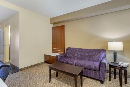 Comfort Suites East Knoxville - image 31
