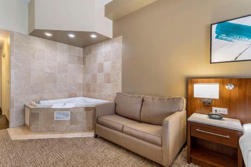 Comfort Suites East Knoxville - image 32