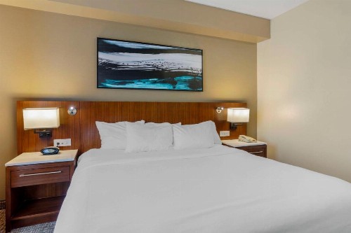Comfort Suites East Knoxville - image 34