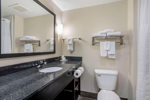 Comfort Suites East Knoxville - image 5