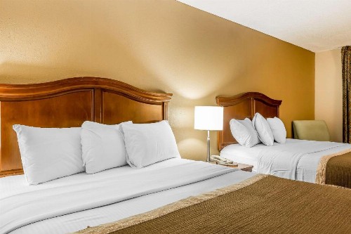 Rodeway Inn Knoxville - image 19