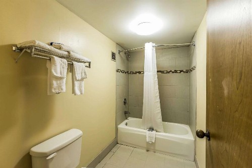 Rodeway Inn Knoxville - image 3