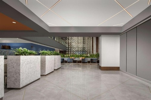 Embassy Suites By Hilton Knoxville Downtown - image 38