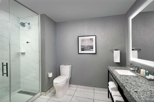 Embassy Suites By Hilton Knoxville Downtown - image 46