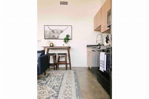 Sunny Loft w/ View of Gay St - image 6