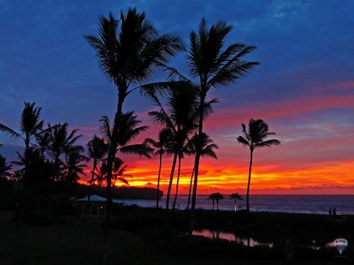Regency at Poipu Kai #924 - image 9