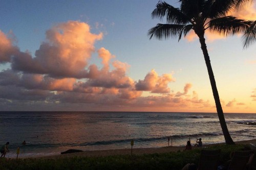 Manualoha 201 - image 11