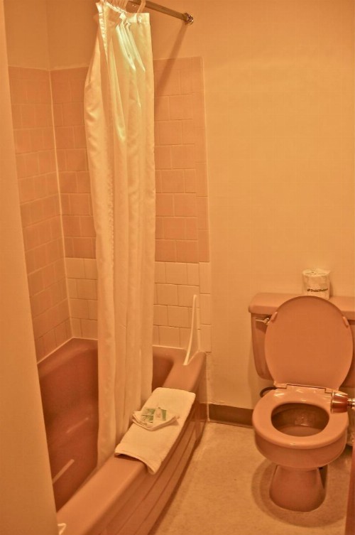 Royal Motor Inn - image 32