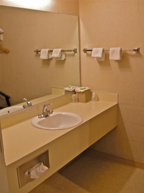 Royal Motor Inn - image 33