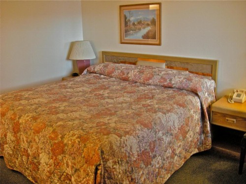 Royal Motor Inn - image 34