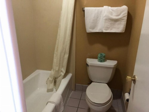 La Grange Executive Inn and Suites - image 2