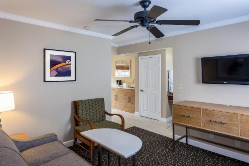 Holiday Inn Express and Suites La Jolla - Windansea Beach and IHG Hotel - image 21
