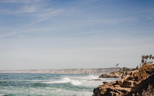 La Jolla Cove Suites - image 25