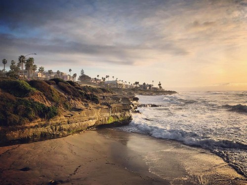 La Jolla Cove Suites - image 29