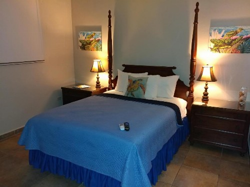 Parador Turtle Bay Inn - image 4