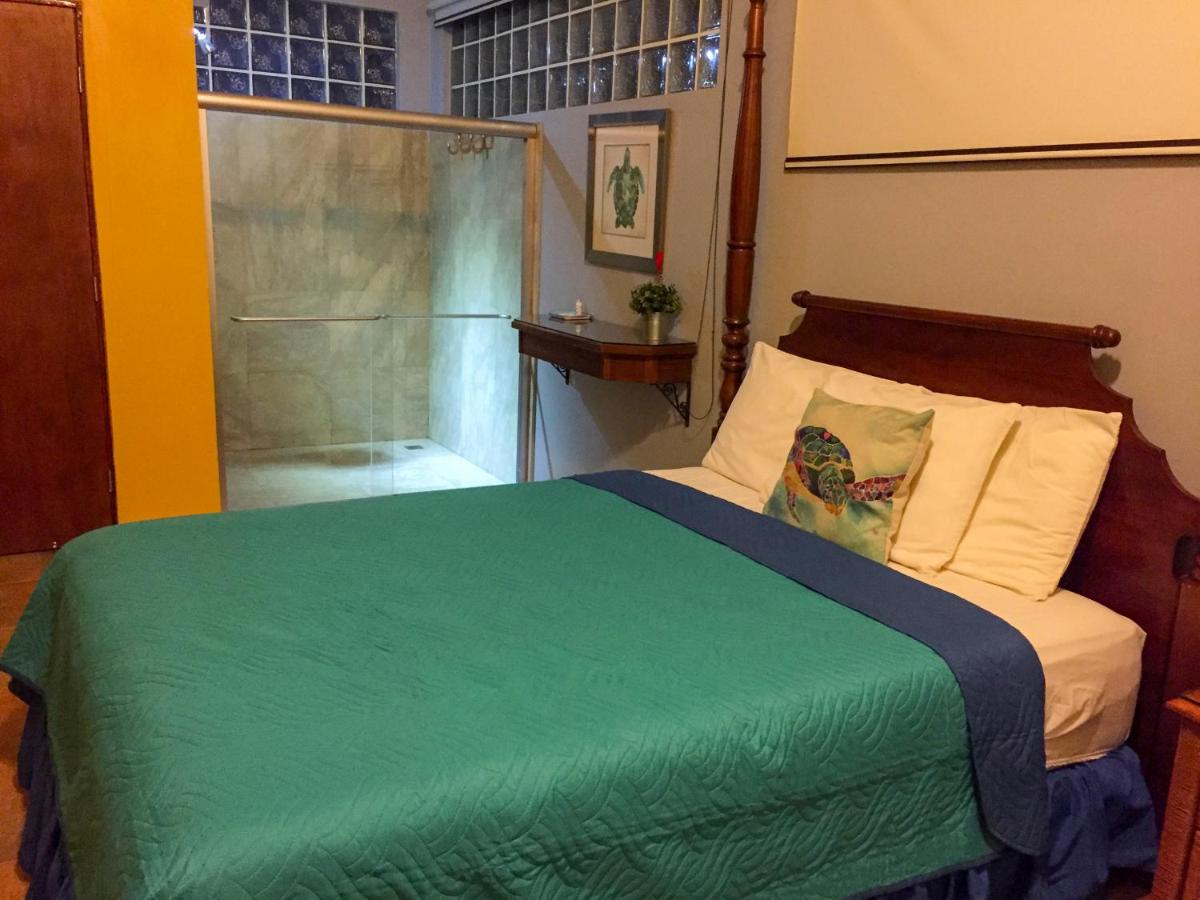Parador Turtle Bay Inn - image 5