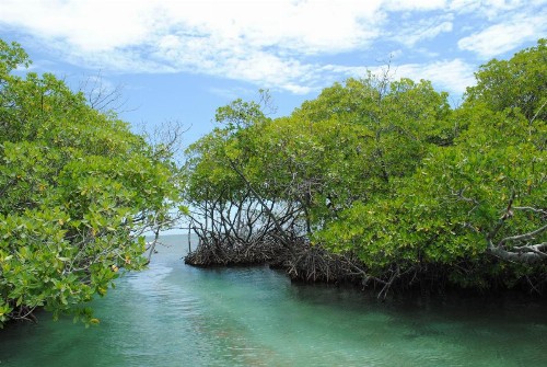 Ocean View - image 11