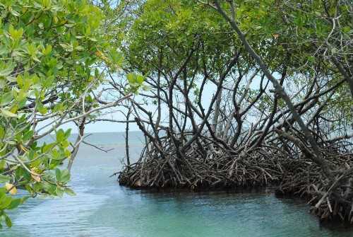 Ocean View - image 12
