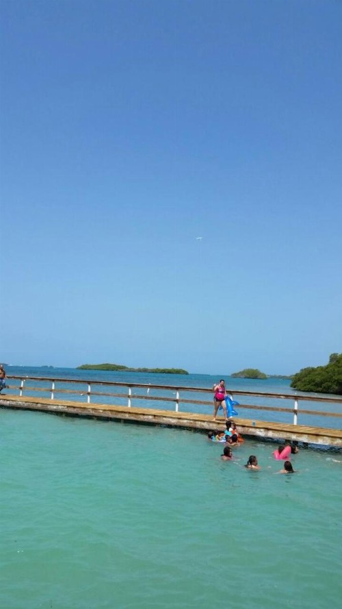 Ocean View - image 13