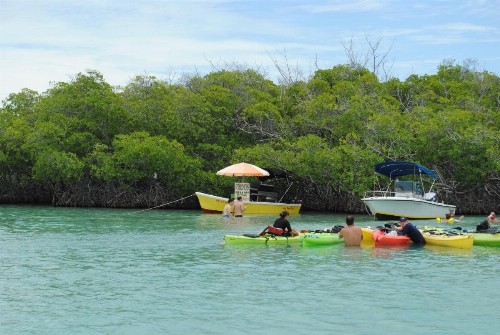 Ocean View - image 14