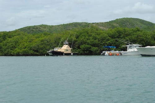 Ocean View - image 15
