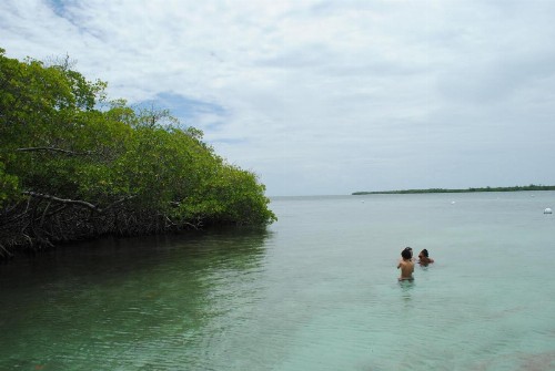 Ocean View - image 19