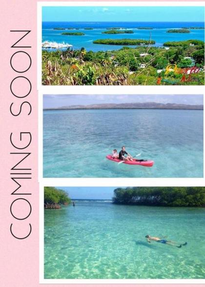 The Coral Keys - image 5