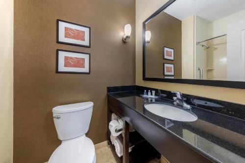 Comfort Suites Near City of Industry - Los Angeles - image 20