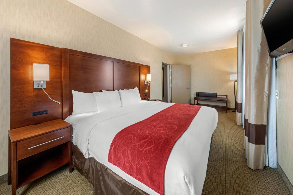 Comfort Suites Near City of Industry - Los Angeles - image 7
