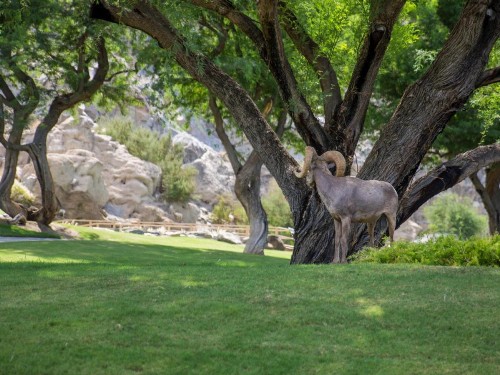 Mountain View Oasis at PGA West - image 20