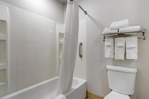 Holiday Inn Express Hotel & Suites - The Villages an IHG Hotel - image 15