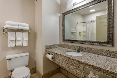 Holiday Inn Express Hotel & Suites - The Villages an IHG Hotel - image 2