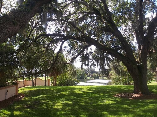 Holiday Inn Express Hotel & Suites - The Villages an IHG Hotel - image 47