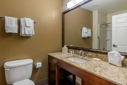 Comfort Suites The Villages - image 3