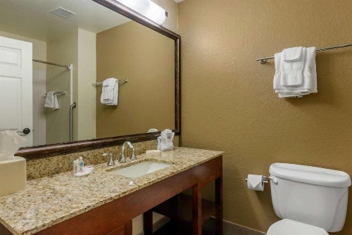 Comfort Suites The Villages - image 4